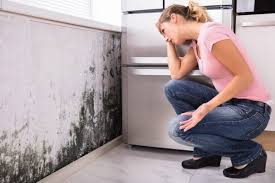 Best Mold-Related Health Consultation  in USA